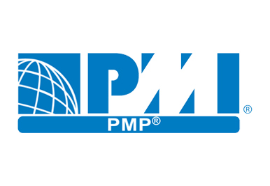 PMP certified people